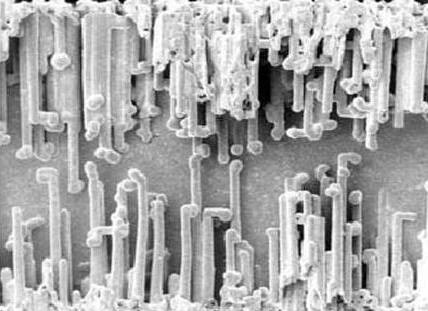 Figure 6 — Cross-section of a high-voltage etched aluminium anode foil. The deep, roughly parallel channels are the DC-etch tunnels that multiply the foil's true surface area; the dielectric will b…