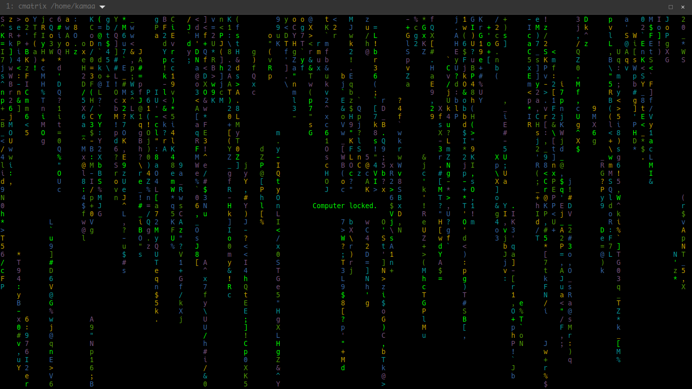 Figure 2 — cmatrix 2.0 in a modern terminal. The discrete streams, the gaps between them and the brighter leading character are all visible here; they are separate quantities in the code.